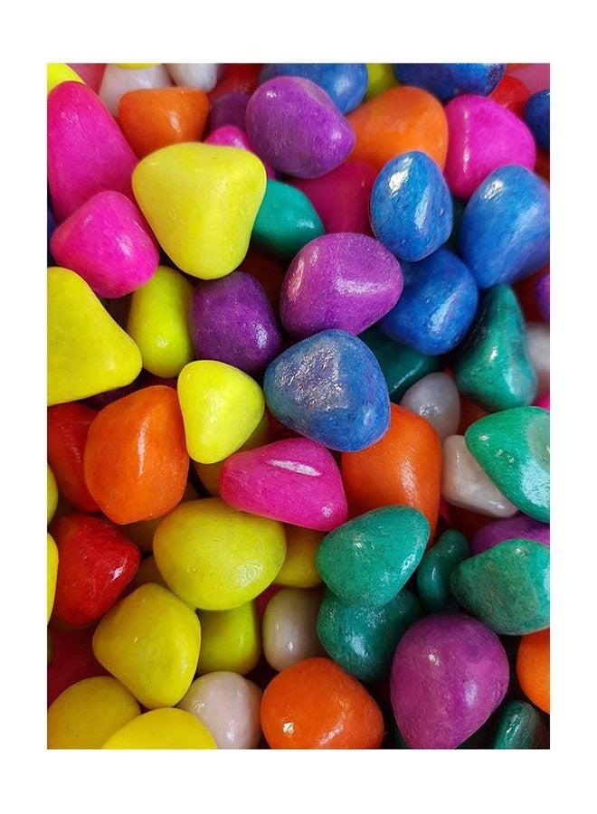 Somil Multicolor Pebbles/Stones for Garden, Plants, Lawns, Aquariums, Fish Pots, Home Decor, Vases, Furniture Filler. Size: 10-30mm, Shiny Multicolor -A230 - Image 1